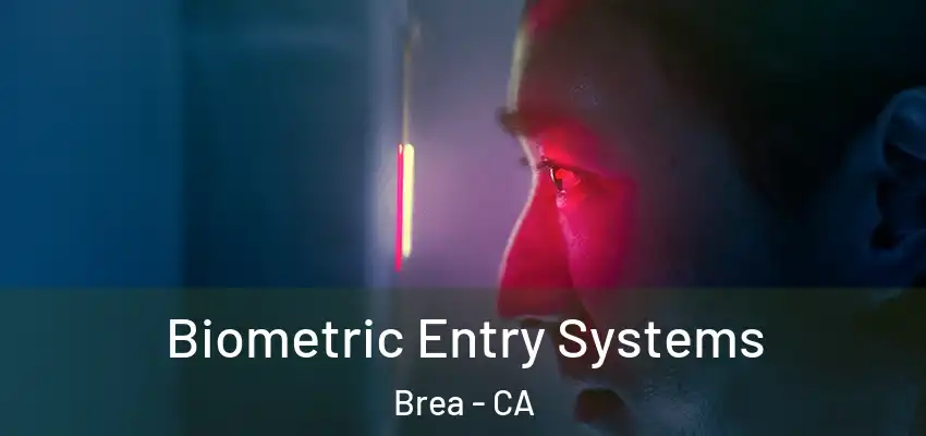 Biometric Entry Systems Brea - CA