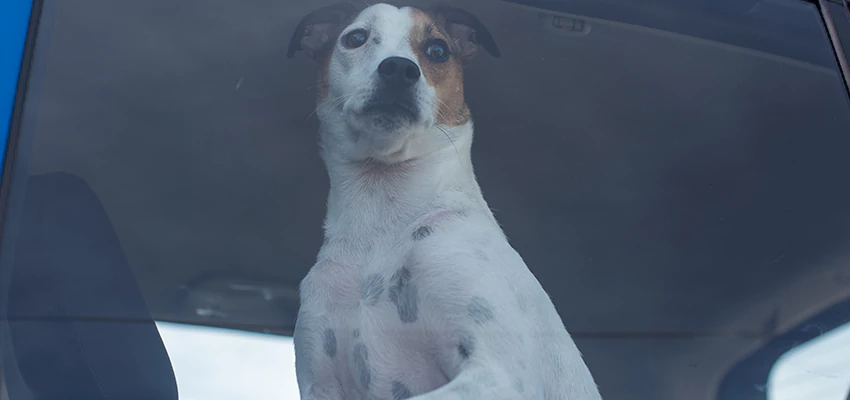 Car Lockout Solutions in Brea, California