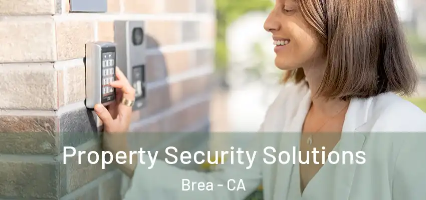 Property Security Solutions Brea - CA